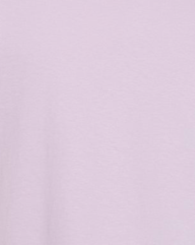 Castle Besties - Comfort Colors Adult Tee
