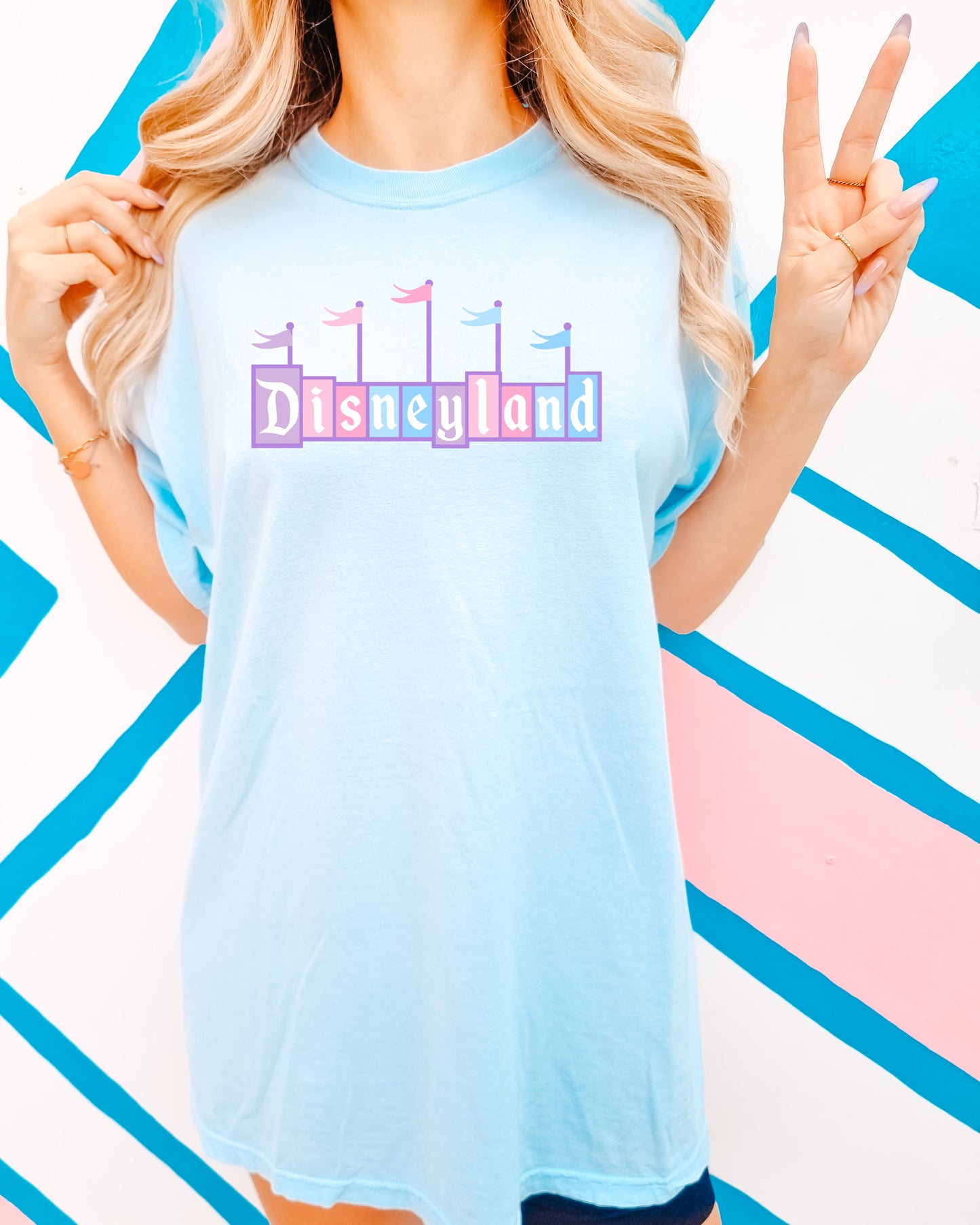 Retro D*Land Sign - Comfort Colors Adult Tee